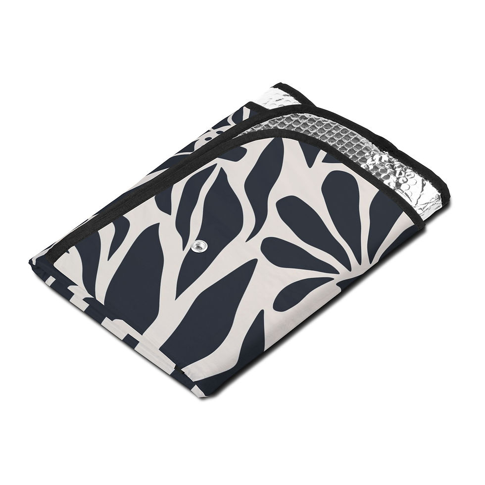 Thumbnail: Car Sun Shades