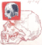 red skull sketch