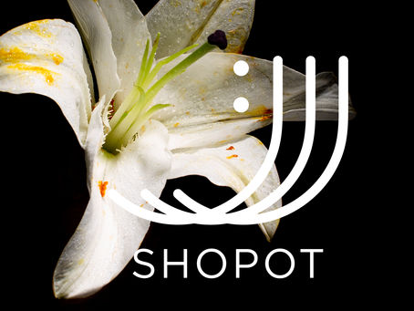 Знакомьтесь: «Шёпот»