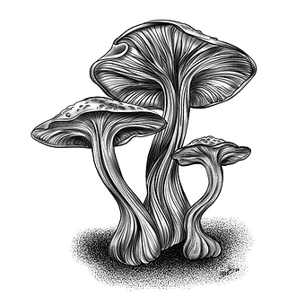 Untitled_Artwork 5.PNG