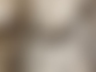 ご挨拶:ホームページ開設しました。