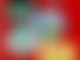 Pèlerinages diocésains 2026.