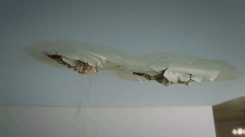 CQTS_BYEBYE_2024_GIF C_small.gif