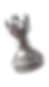 Indian School Of Chess Rook