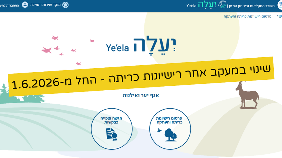 שינוי במעקב אחר רישיונות כריתה - החל מ- 1.6.2026