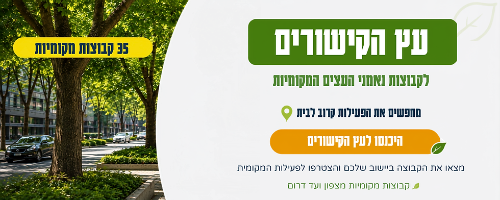 עץ הקישורים (1).png
