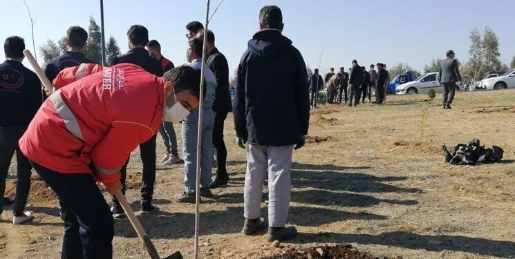 ייעור עירוני באיראן בעשור האחרון (2015–2025)