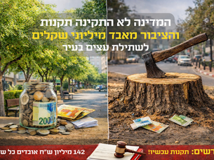 המדינה לא מתקינה תקנות – והציבור מאבד מיליוני שקלים לשתילת עצים בעיר