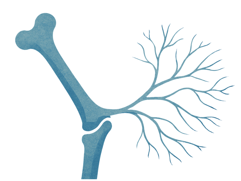 Untitled design (19).png