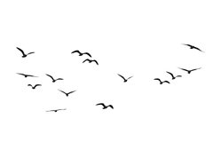 dbap0u2-6d471e50-93a0-4ad4-b21d-24a8d1228e97.png