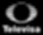 Televisa_(2016_Fondo_Negro_y_Logo_Blanco).webp