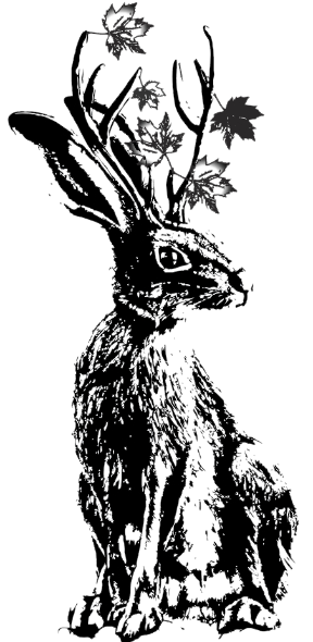 1_edited.png