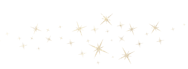 sparkles (1).png