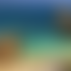 10 best things to do In Lagos 