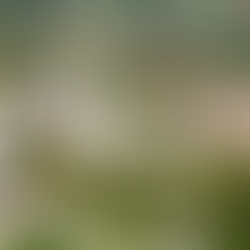  Top-Rated weekends day  Trips from Lisbon