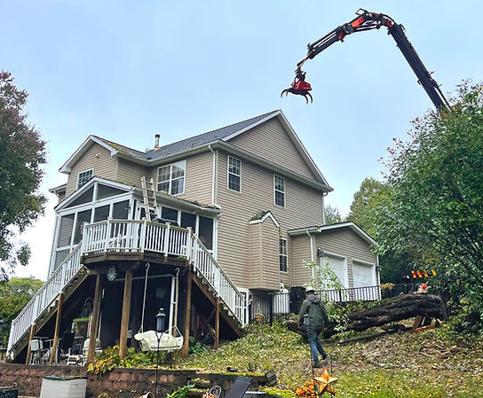 Crane with Saw