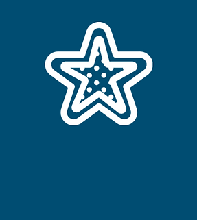 Website Elements (3).png