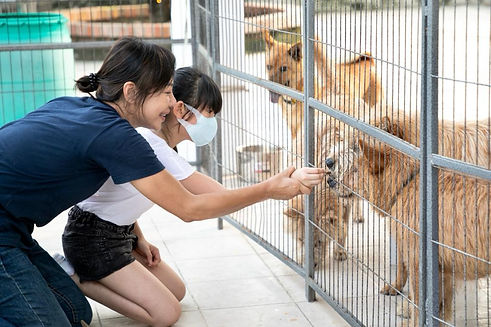 WhatsApp Image 2021-10-28 at 21.20.17.jpeg