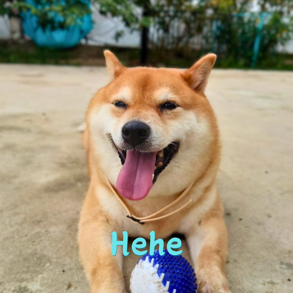 Hehe