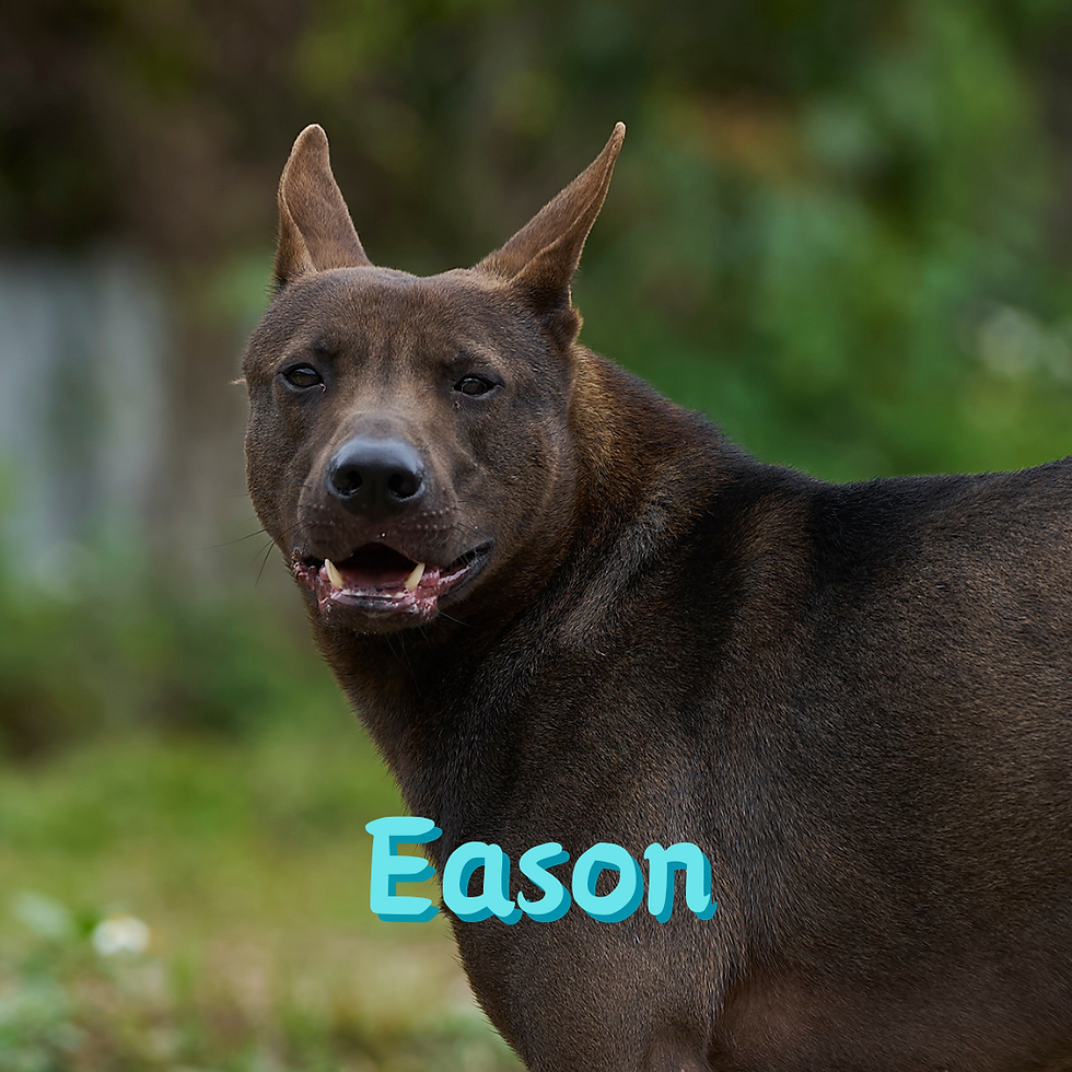 Eason