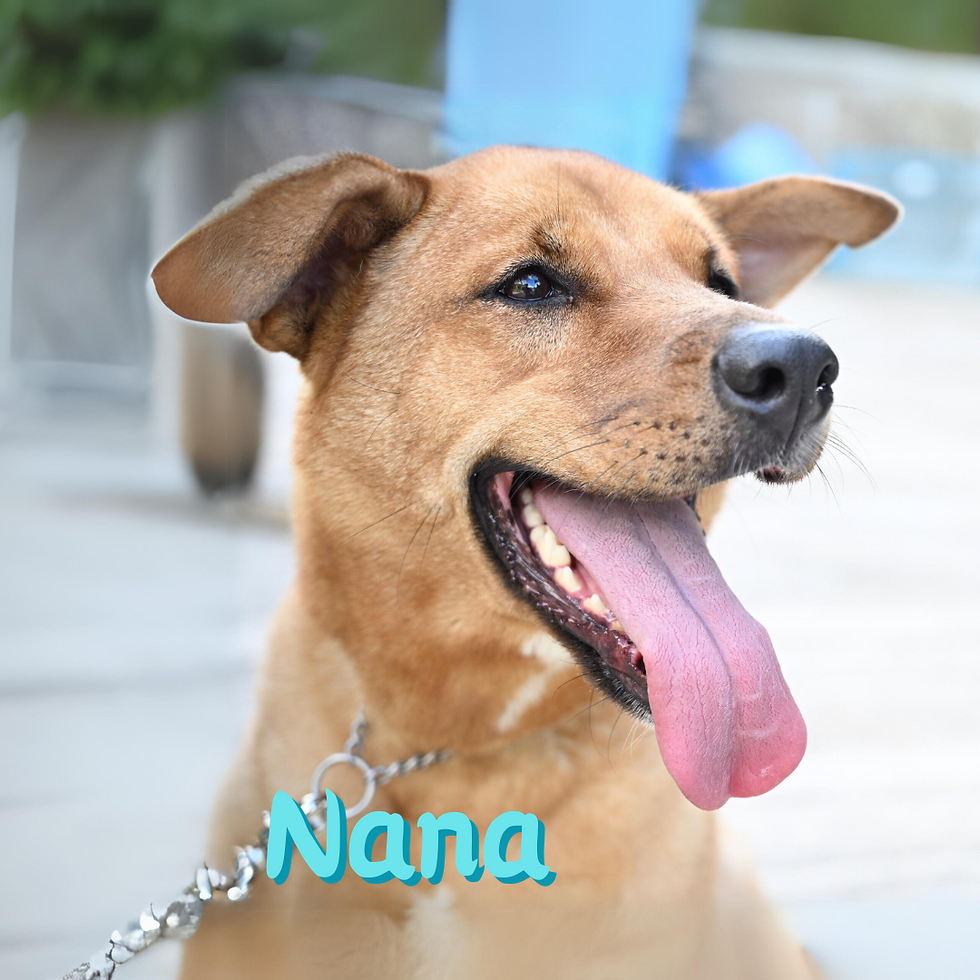 Nana