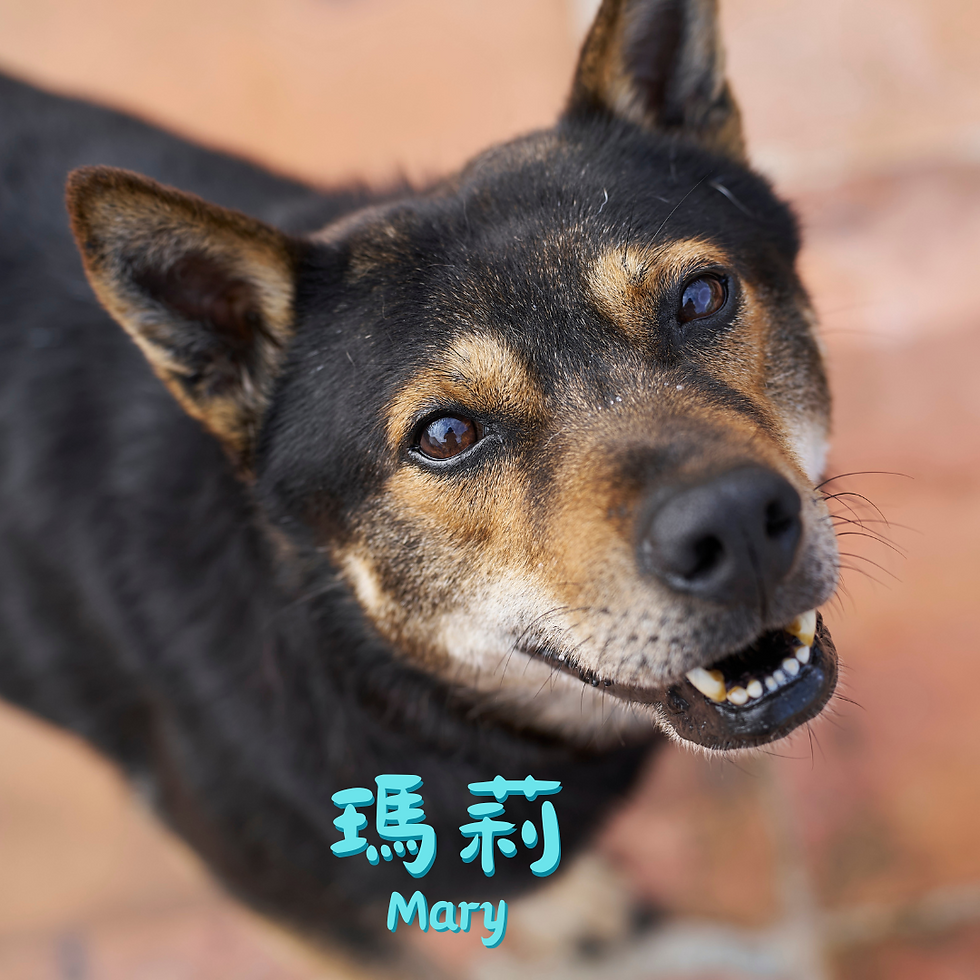 Mary