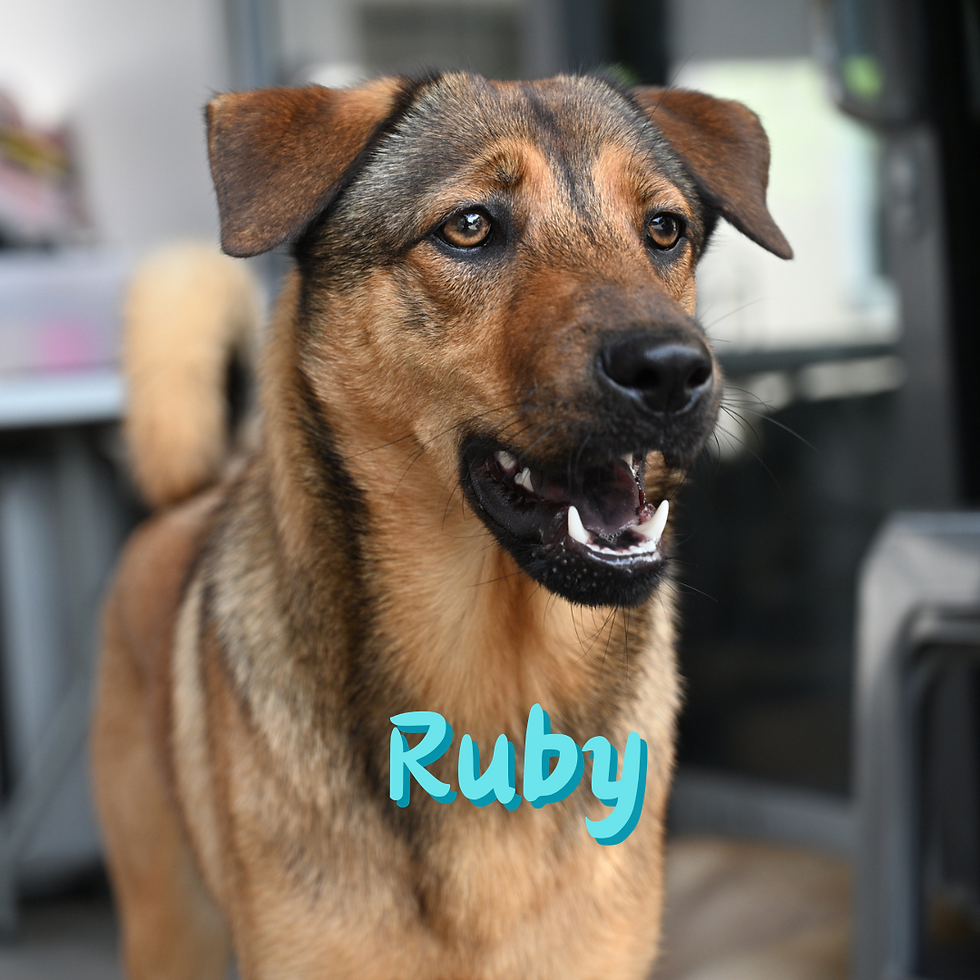 Ruby