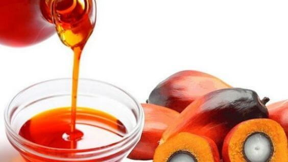 Миниатюра: Արմավենու յուղ