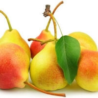Миниатюра: Դյուշես անուշաբույր
