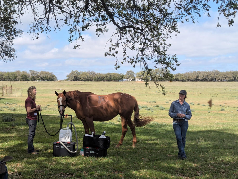 att.47cHXVERA3VfX9Cm7YIuVOMAy-MzWkoZQ6VRl7Tpel0