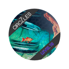 Goldfish in a jar with text reading CIRCZLES and LEVEL 15 Cogzart