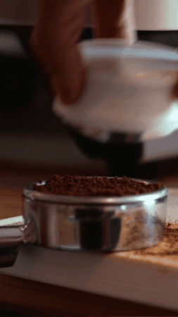giphy (5).gif