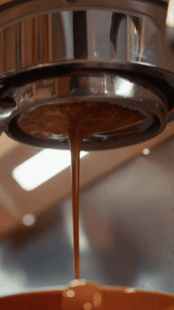 giphy (6).gif