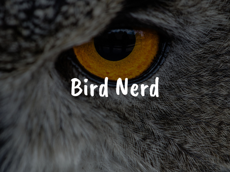 Bird Nerd