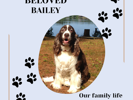 Beloved Bailey