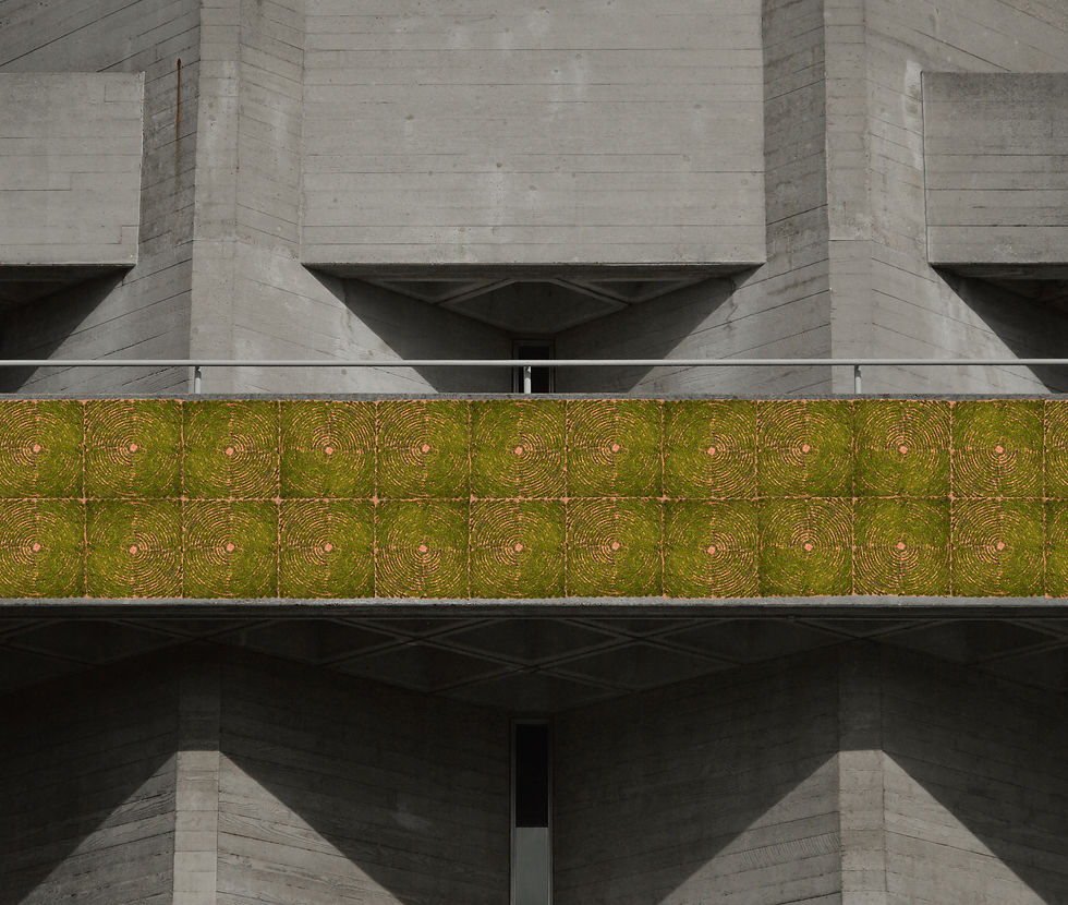 Moss Tiles Visualisation