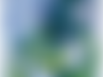 Artist Interview: Cannabis Amnesty x Jill Stanton