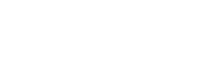 White logo - no background.png