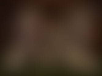 Símbolos do Natal: conheça os principais símbolos natalinos e seus significados na Igreja Católica