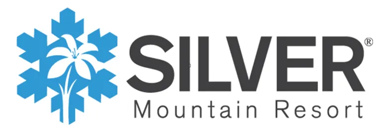 silver.webp
