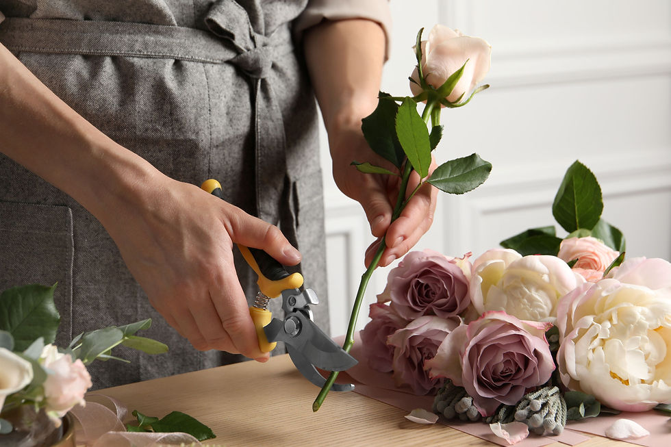 Person cutting the stems of cream and dusky pink roses at a 45 degree angle