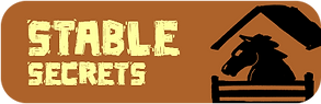 stable_secrets_button.png