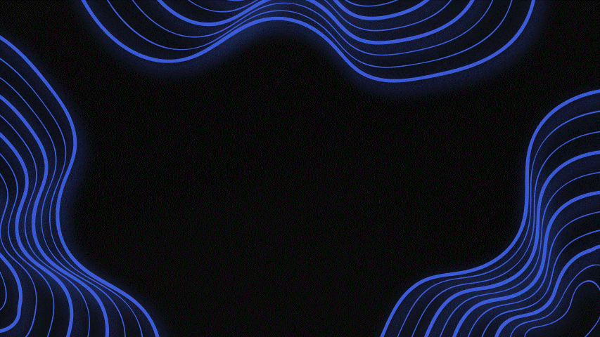 BSF 2.gif