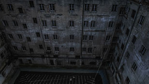 Willowbrook State School: An Institutional Failure