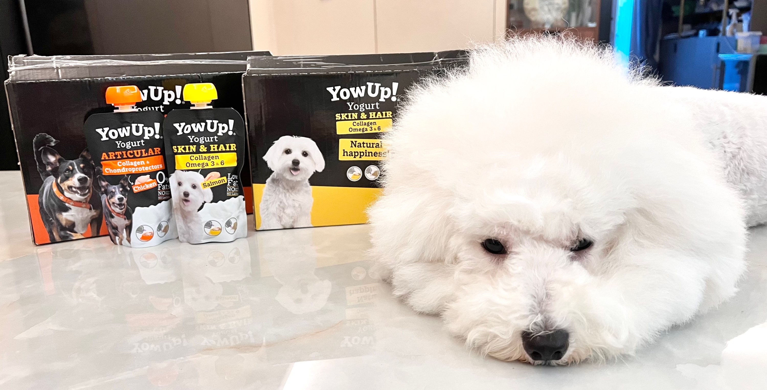 YOW UP 修復毛髮及保護皮膚乳酪(三文魚🐟)