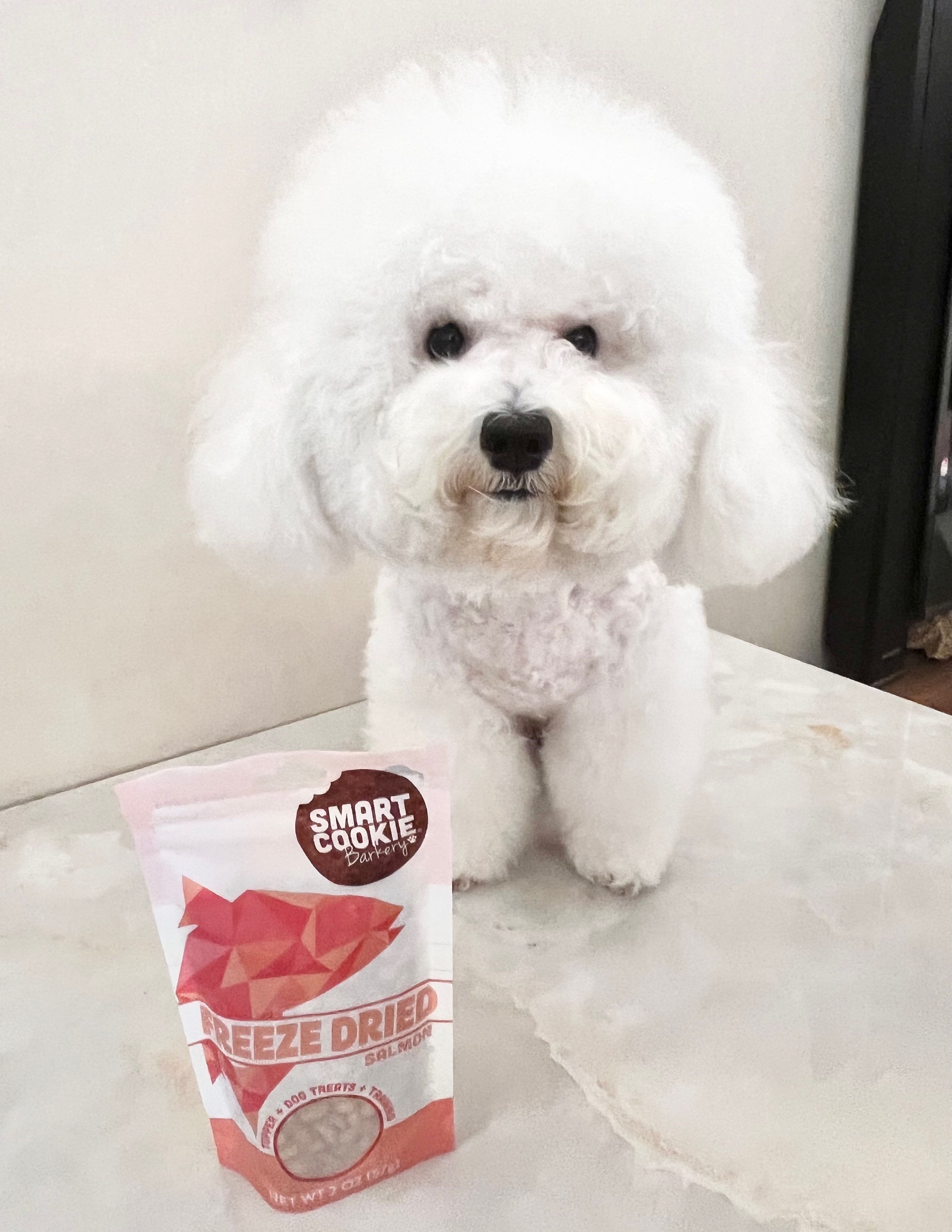 Smart Cookie Barkery🐾  🐟凍乾三文魚粒 （RAW）