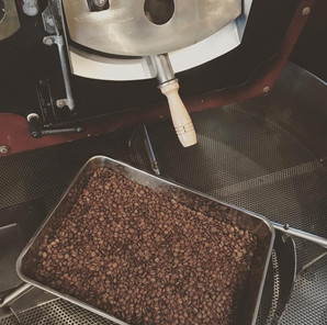 diedrichroasterir-25b.jpeg