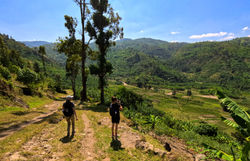 Nature walk and Hikingg