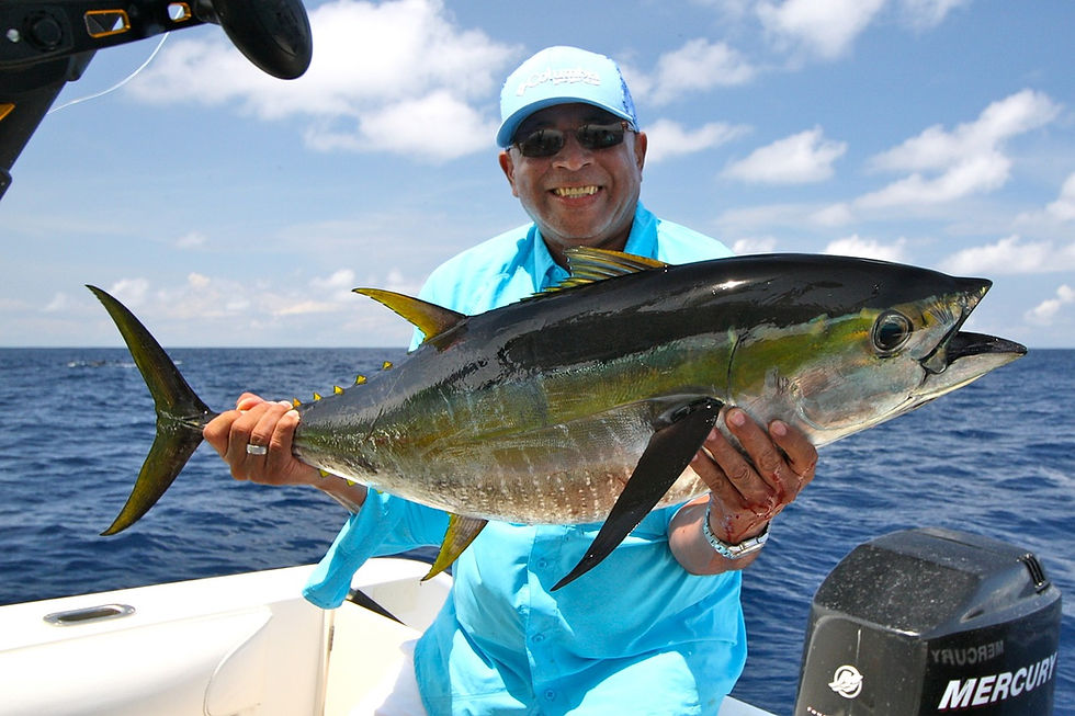 fishing 2