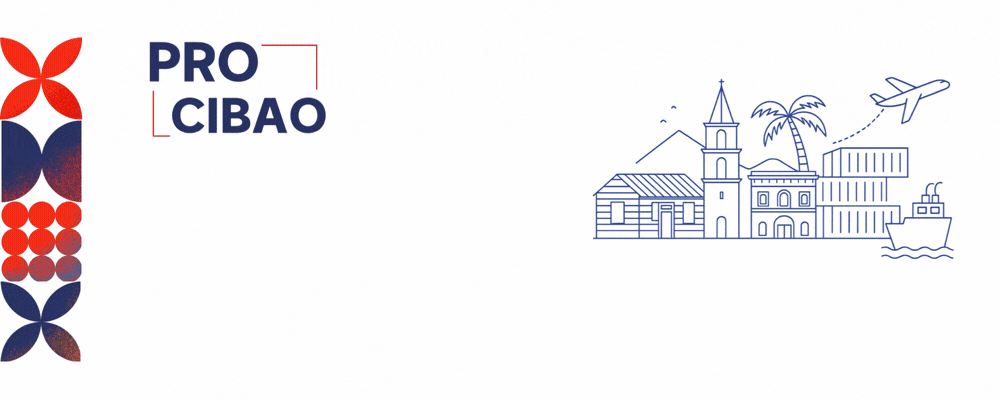 Gmail banner ProCibao 500 x 200 (1).gif